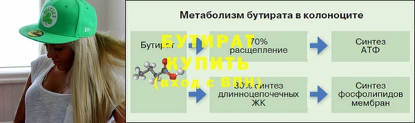 Альфа ПВП Бородино